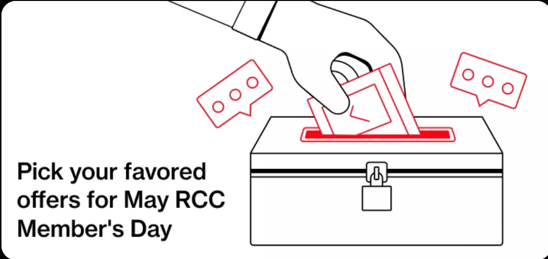RCC members expectations about the ideal RCC day.