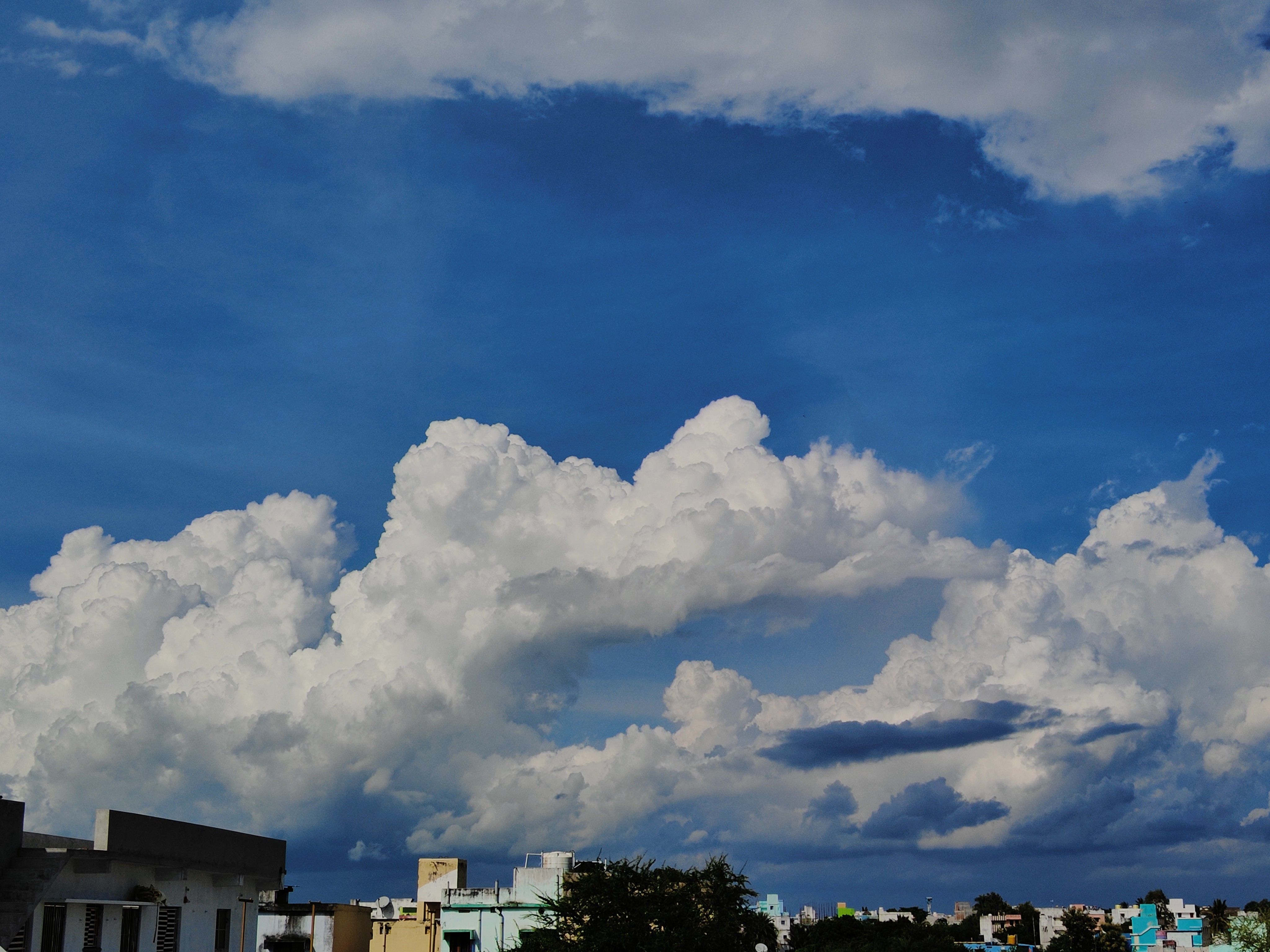 Captured some awesome click from OnePlus 11R, awesome device