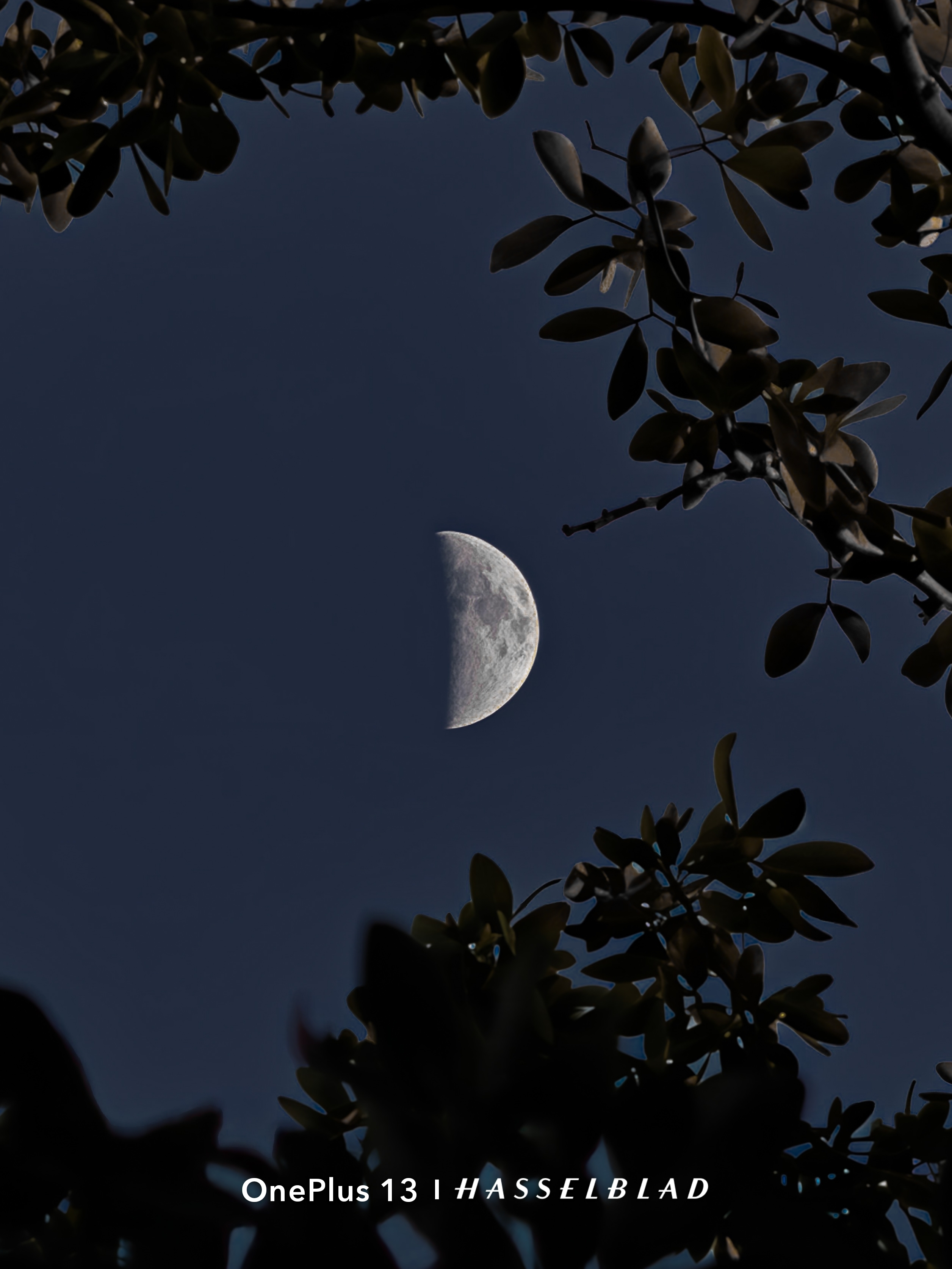 トトノエライト TOTONOE LIGHT PLAIN MOON MOON トトノエライト