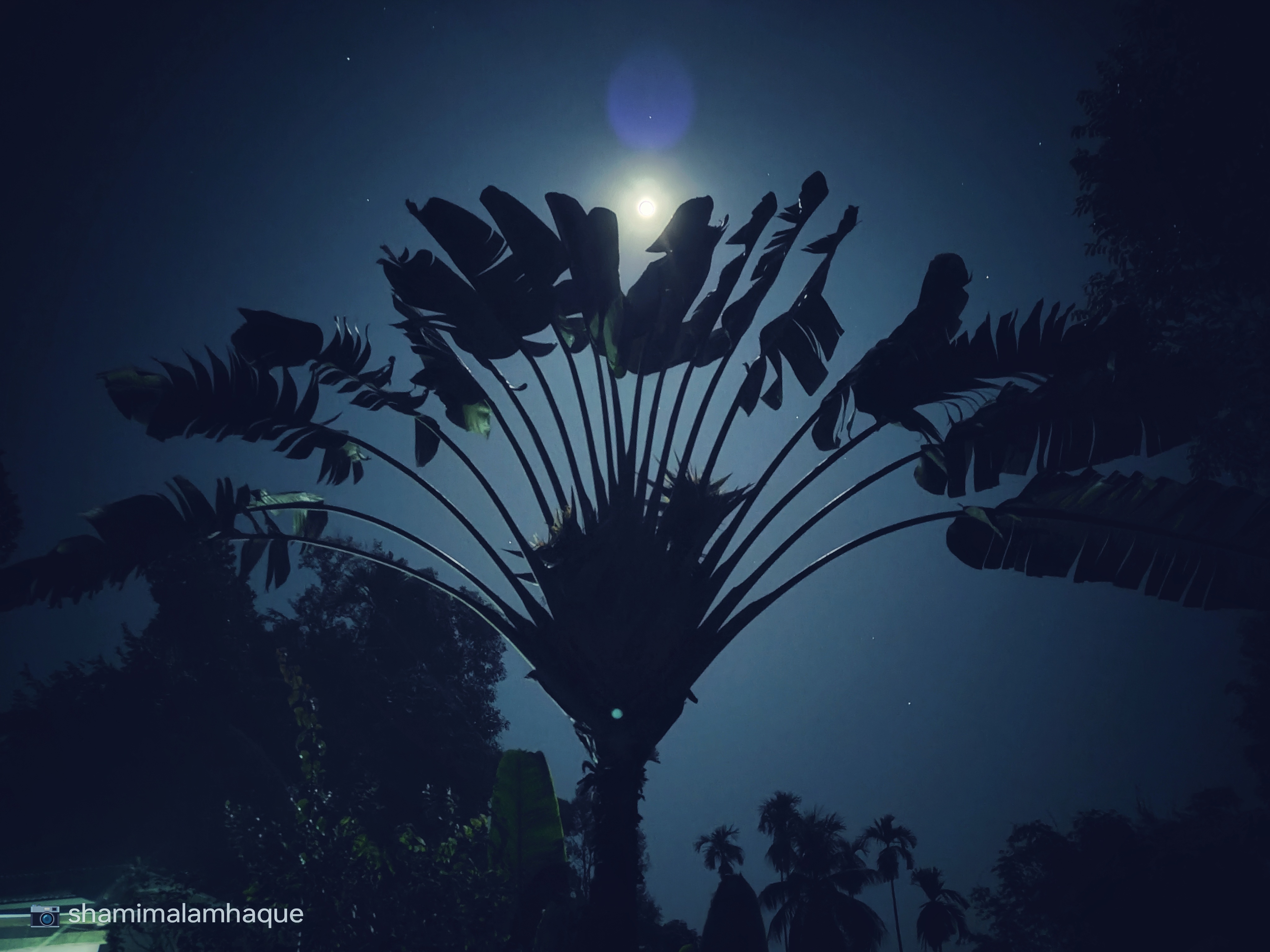 A Blue Night