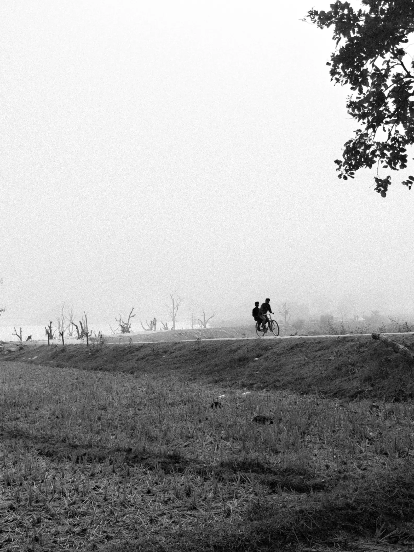 Empty roads🛣️ ,calm fields. Two friends on a single bicycle