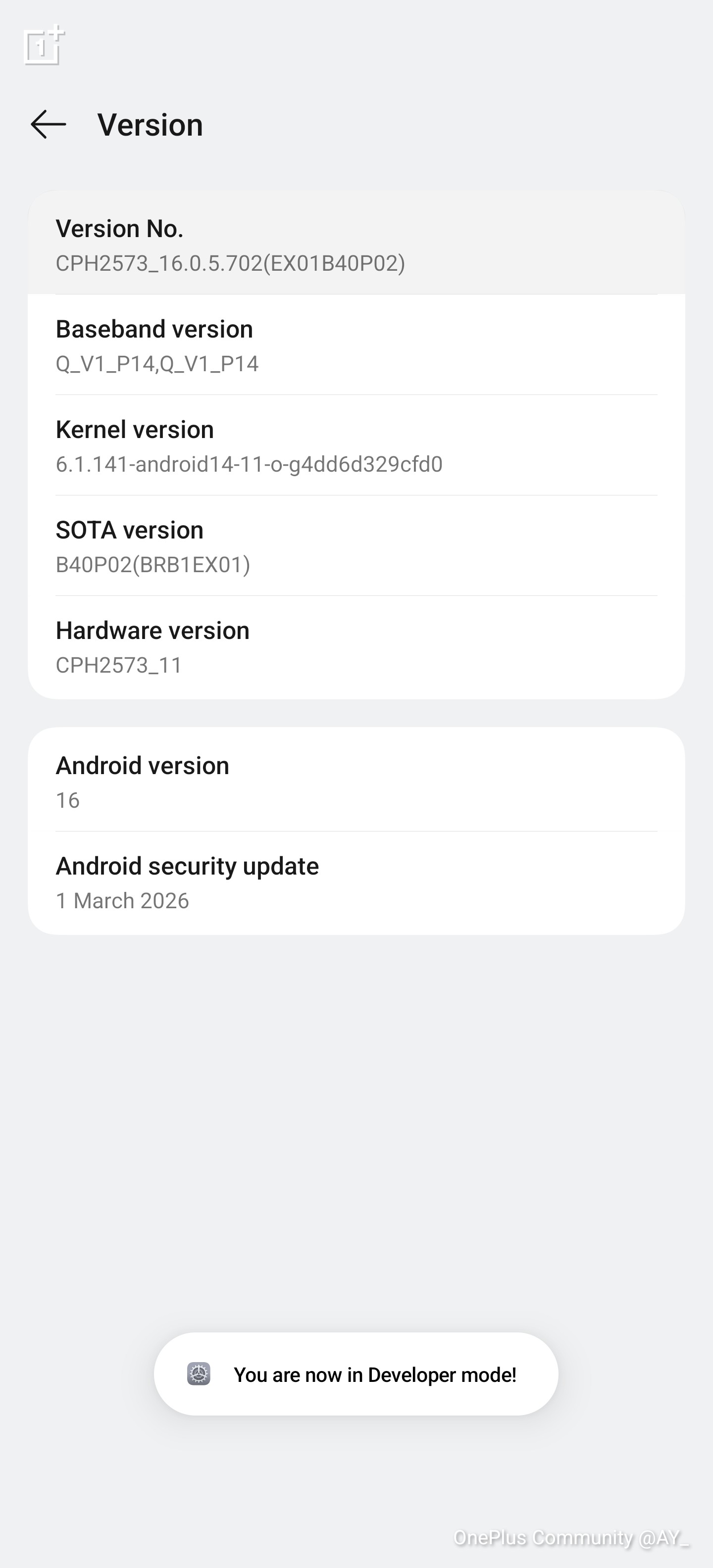 From a Developer's Lens: 5 OxygenOS Developer Options You Should ...