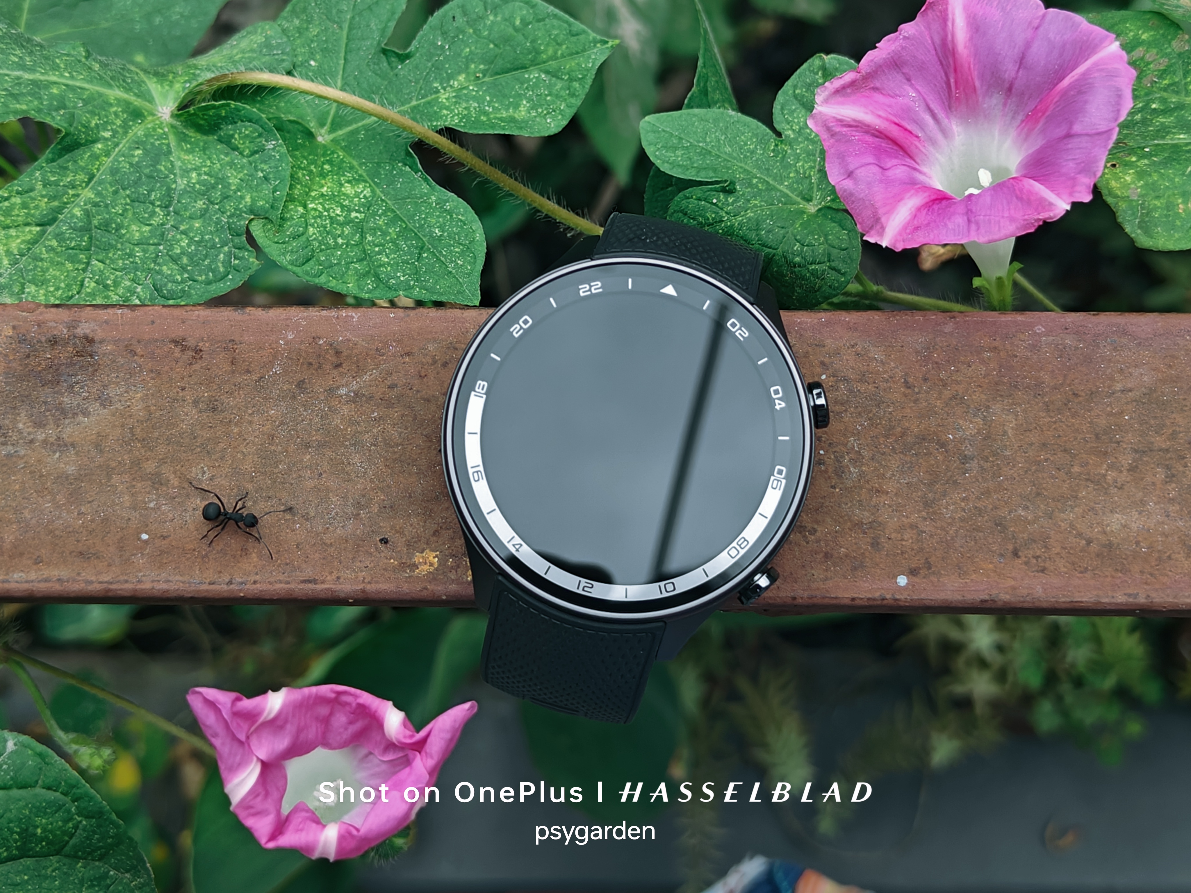 [The Lab] OnePlus Watch 2R : The Lightweight Champion