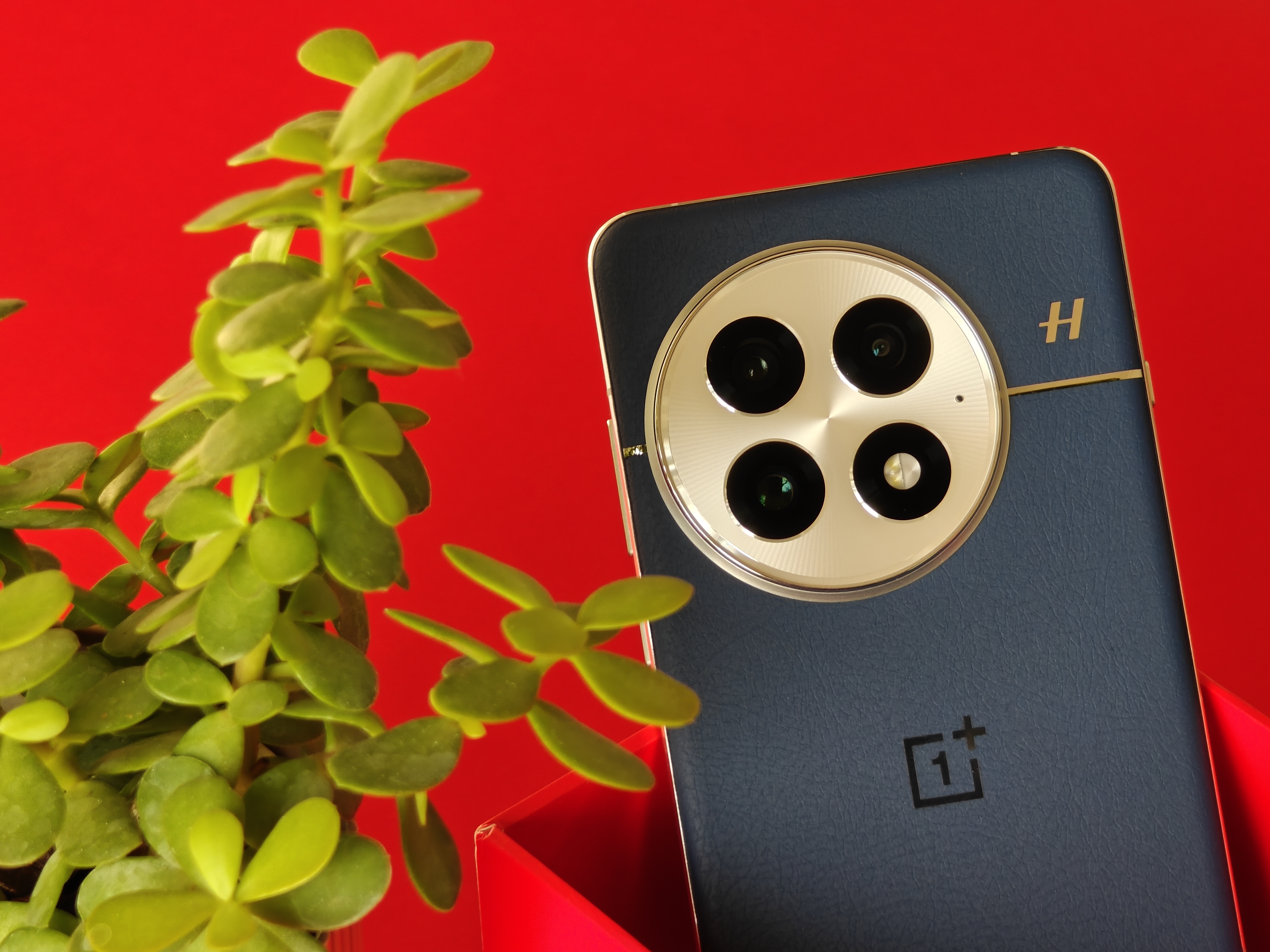 [The Lab] OnePlus 13 Unboxing & Overview