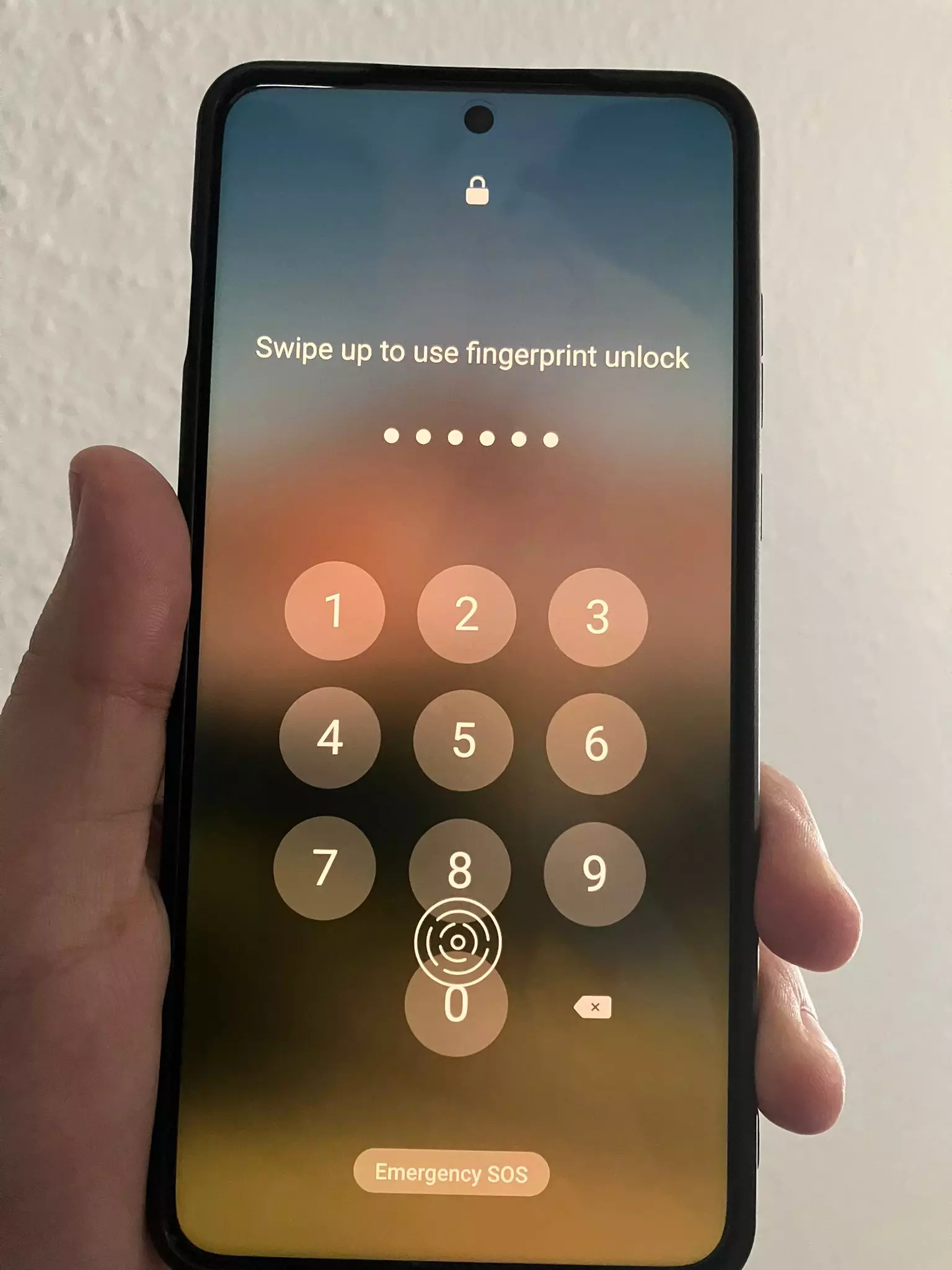 Frozen Screen Application Frozen screen, can't unlock with fingerprint or Pass code