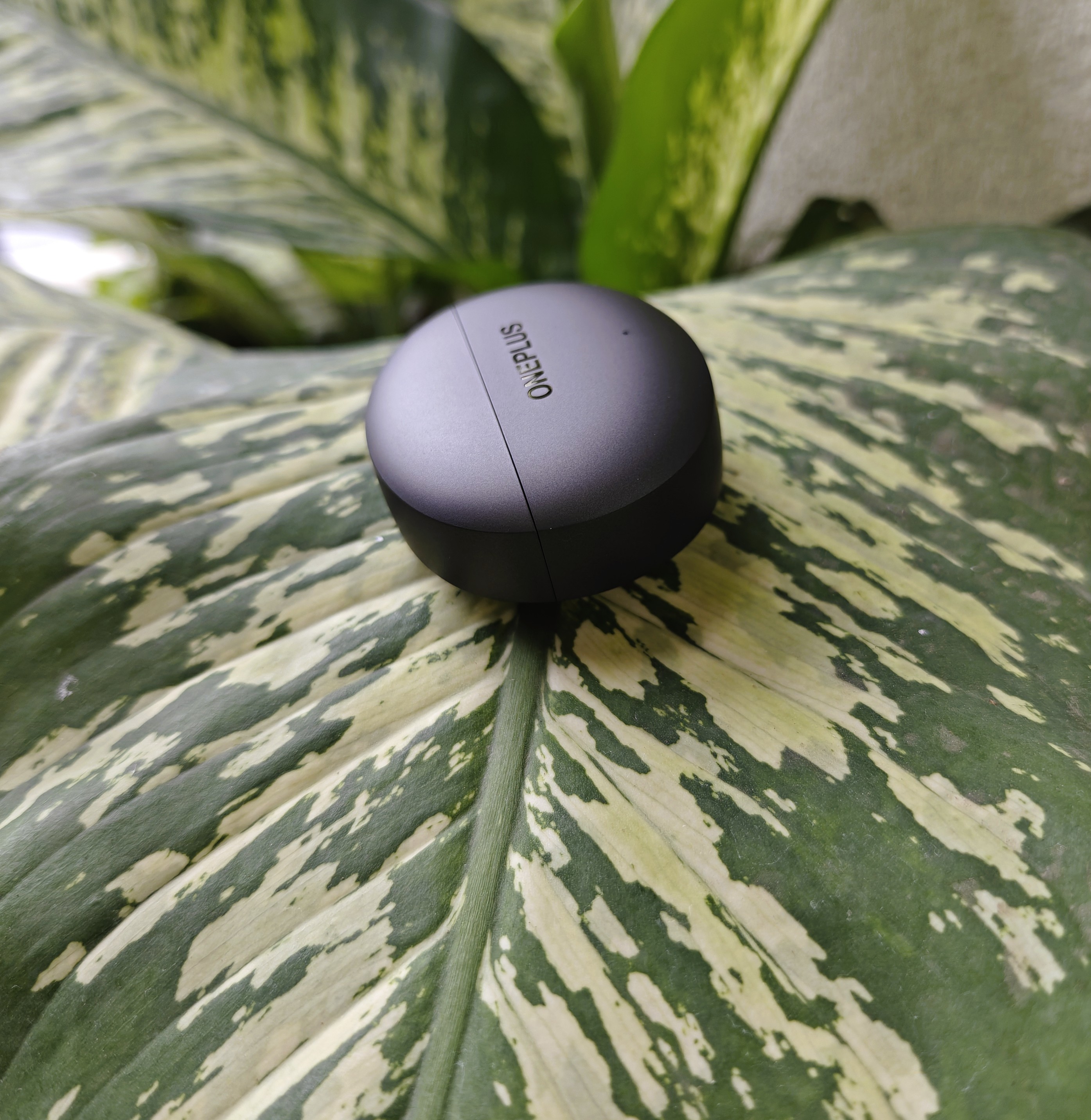 [The Lab] OnePlus Buds 4 - Full Review By a Sloth