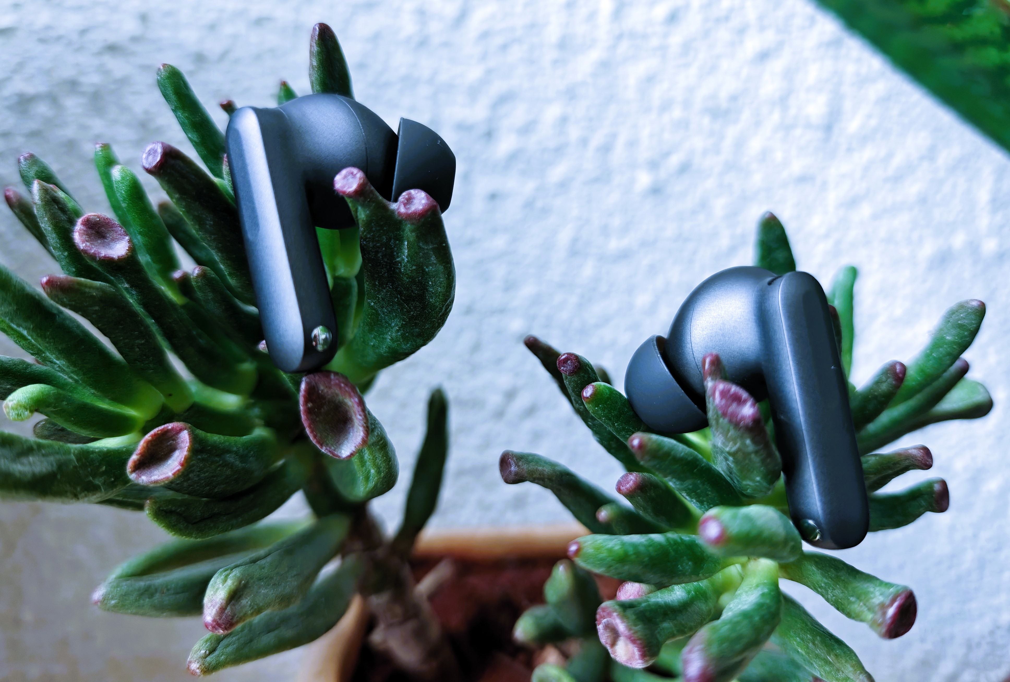 [The Lab] OnePlus Buds 4 - Full Review By a Sloth