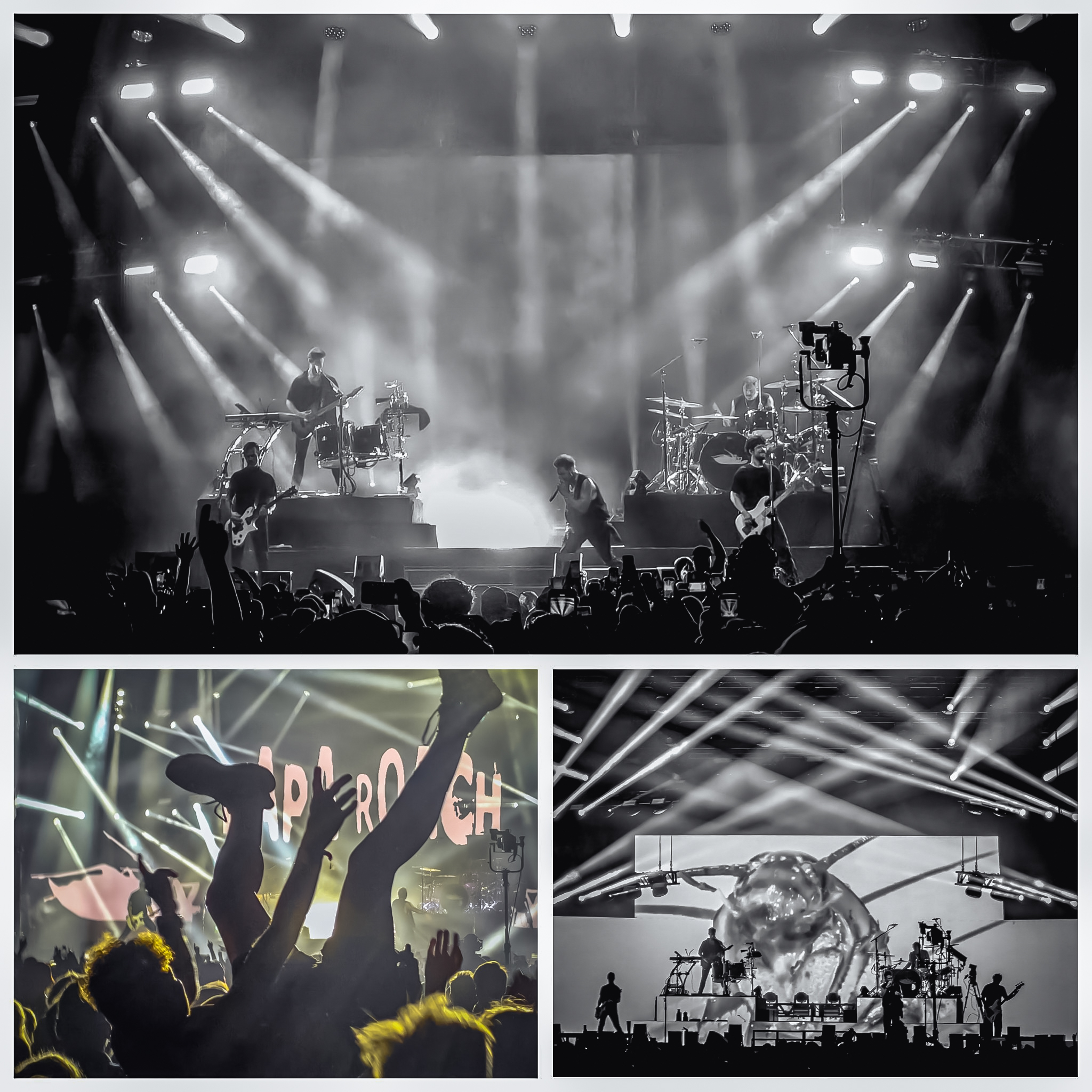 First Concert Frame Captured in Concert Festival Frames